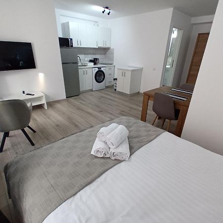 Old Town Studio Apartments Baia Mare Bagian luar foto