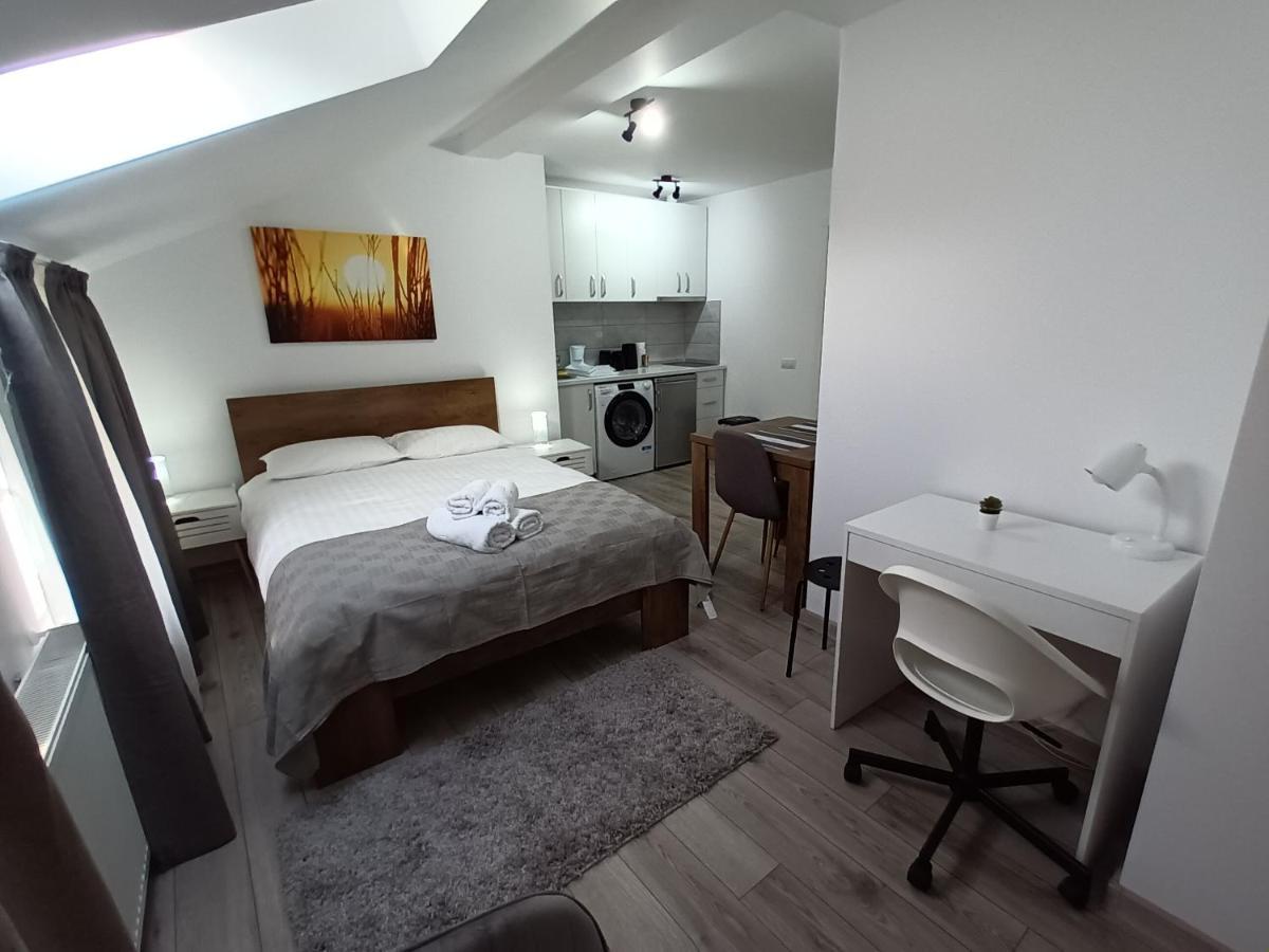 Old Town Studio Apartments Baia Mare Bagian luar foto