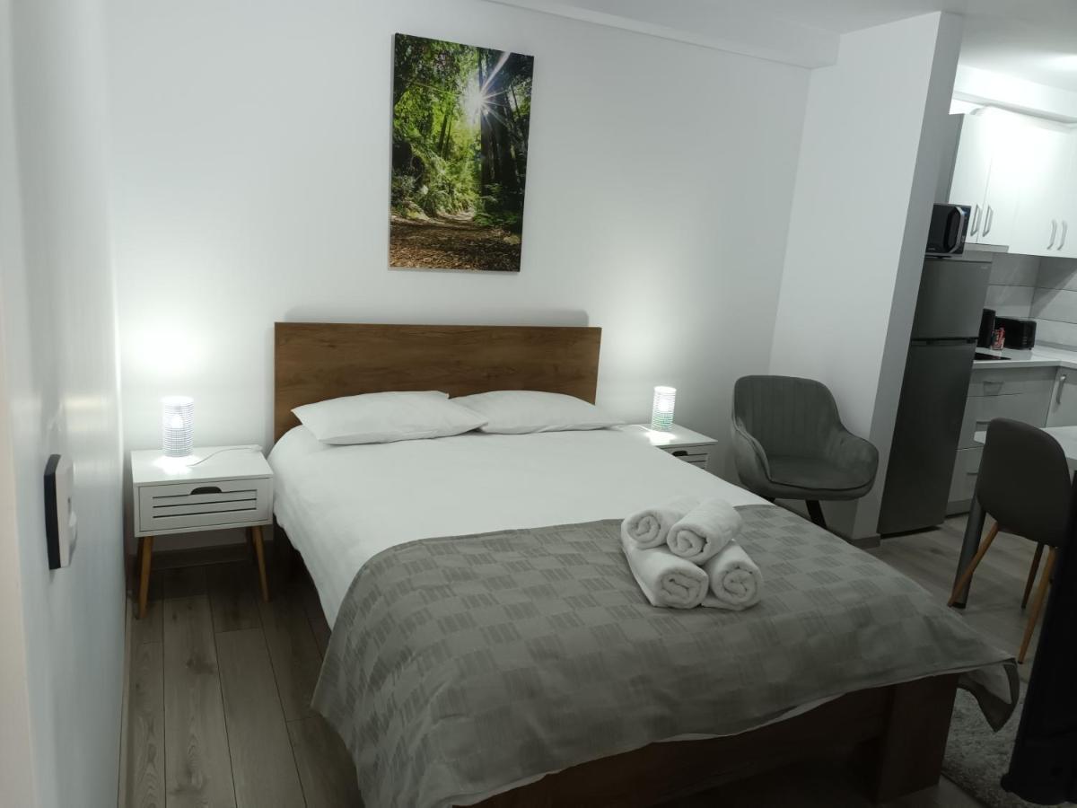 Old Town Studio Apartments Baia Mare Bagian luar foto
