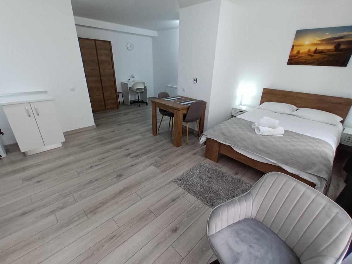 Old Town Studio Apartments Baia Mare Bagian luar foto