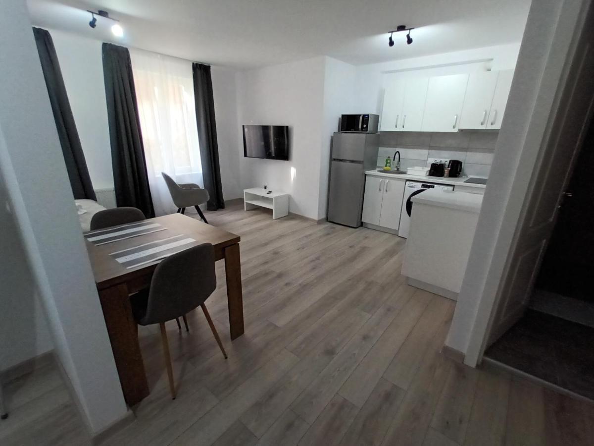 Old Town Studio Apartments Baia Mare Bagian luar foto