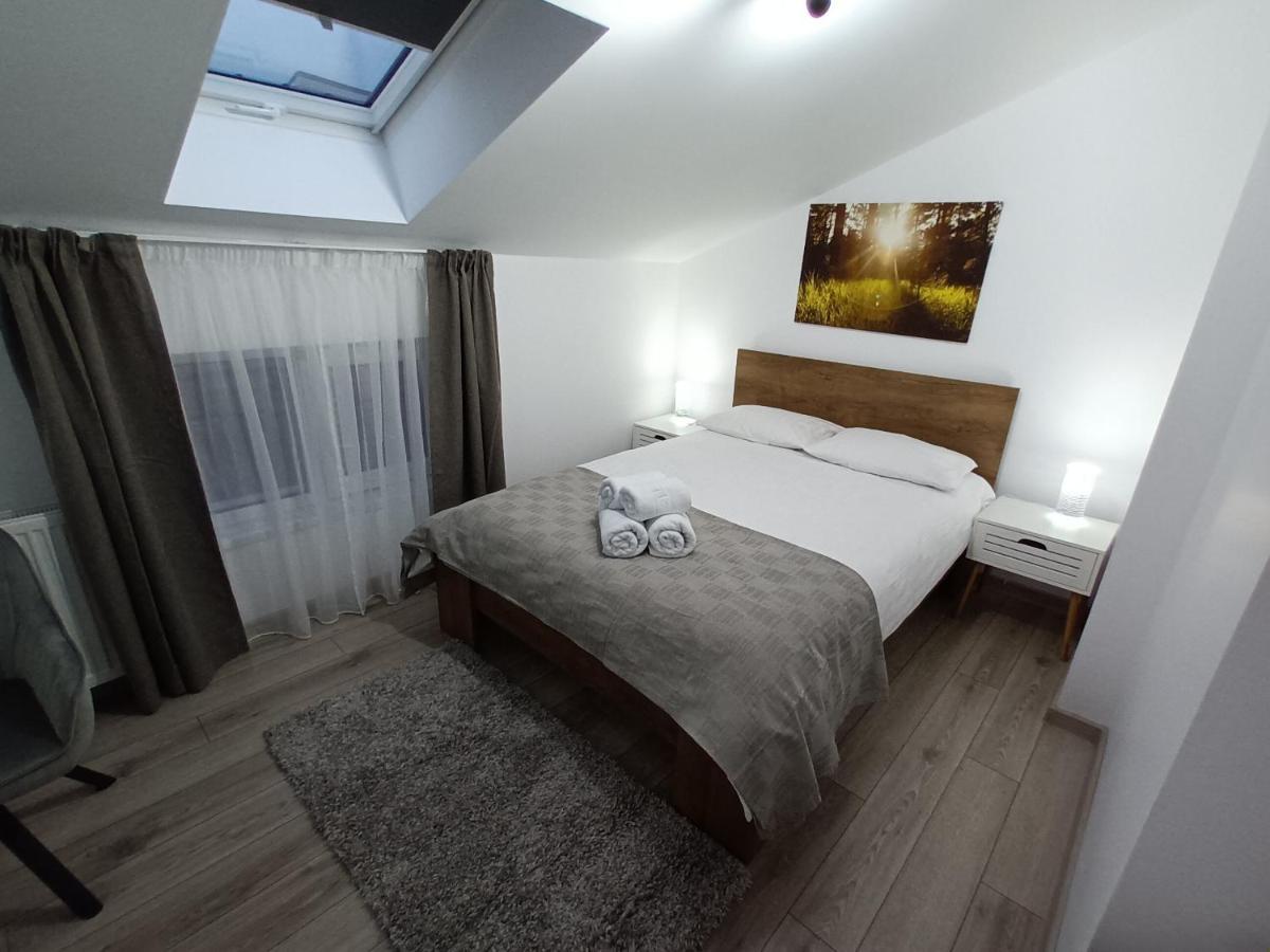 Old Town Studio Apartments Baia Mare Bagian luar foto