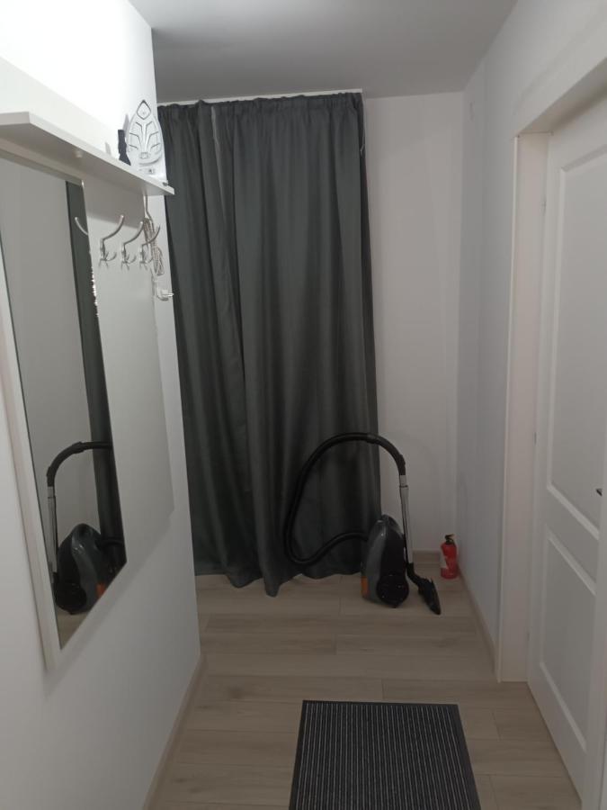Old Town Studio Apartments Baia Mare Bagian luar foto