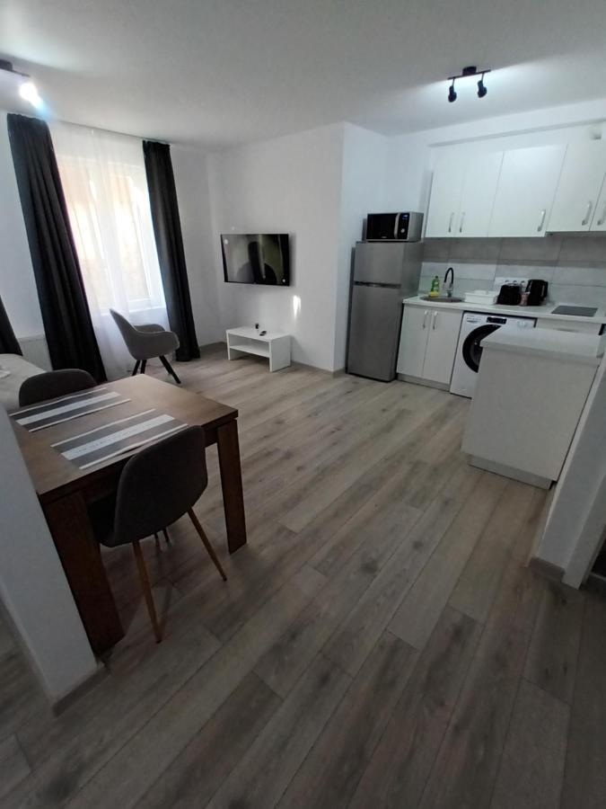 Old Town Studio Apartments Baia Mare Bagian luar foto