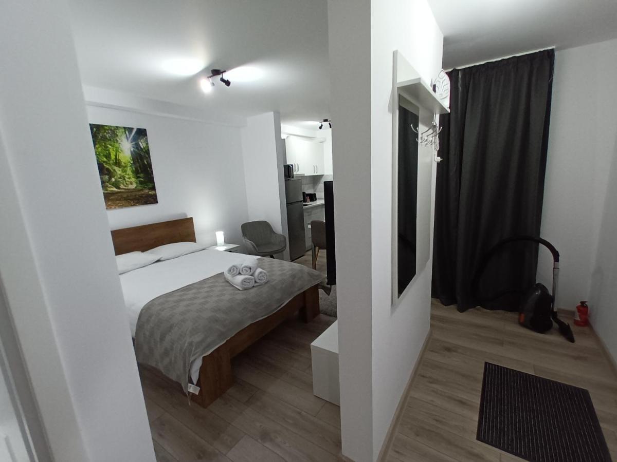 Old Town Studio Apartments Baia Mare Bagian luar foto