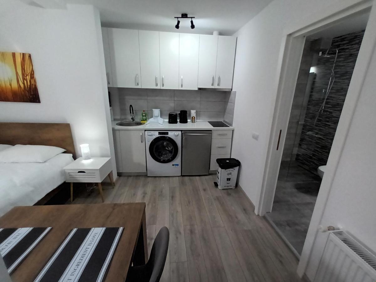 Old Town Studio Apartments Baia Mare Bagian luar foto